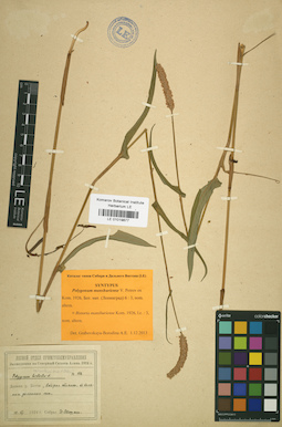LE 01019877