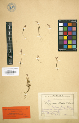 LE 01019879
