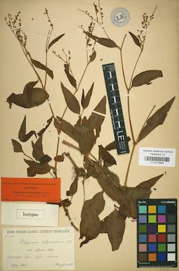 LE 01019882
