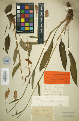 LE 01019885