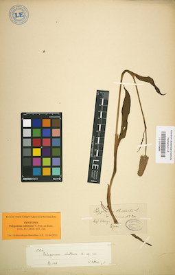 LE 01019886