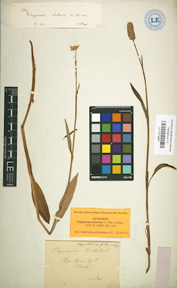 LE 01019887