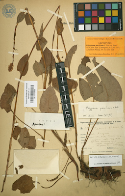 LE 01019888