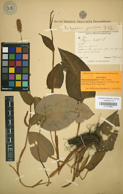 LE 01019890