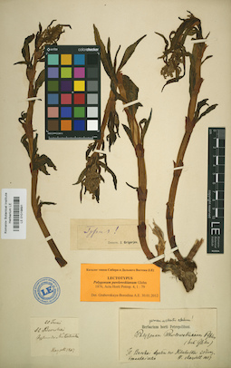LE 01019891