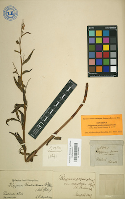 LE 01019892