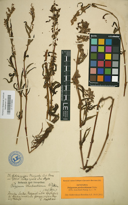 LE 01019893