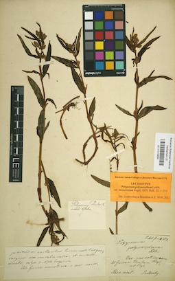 LE 01019894