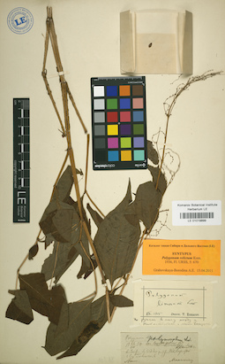 LE 01019899