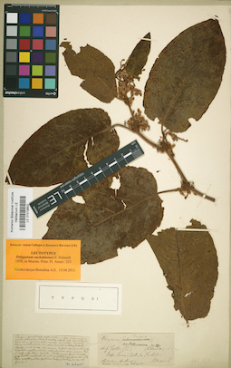 LE 01019902