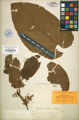 LE 01019903