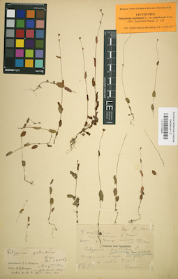 LE 01019904