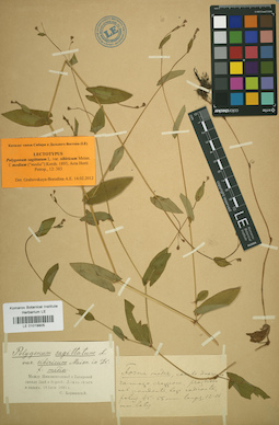 LE 01019905