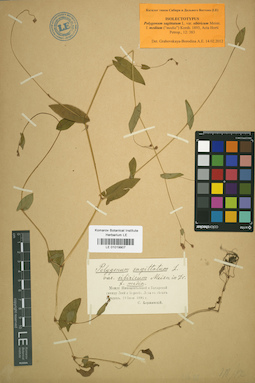 LE 01019907