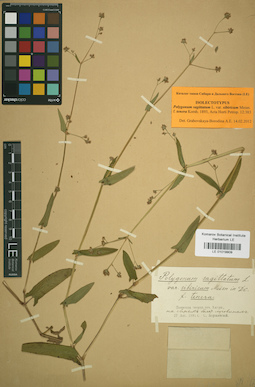 LE 01019909