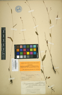 LE 01019910