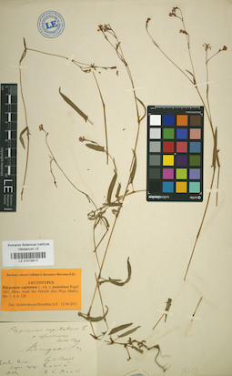 LE 01019913