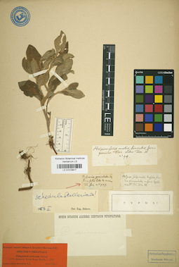 LE 01019917