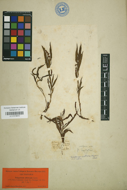 LE 01019919