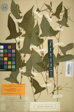LE 01019923