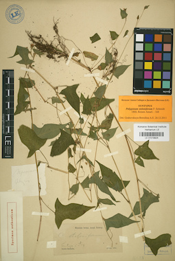 LE 01019924