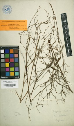 LE 01019926