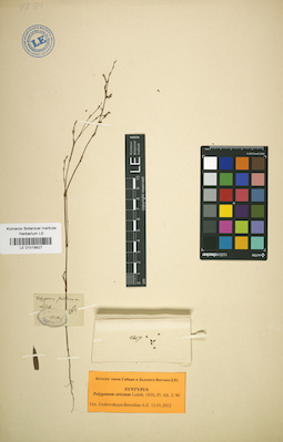 LE 01019927