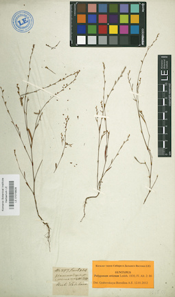 LE 01019928