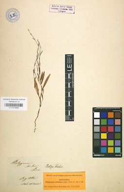 LE 01019929