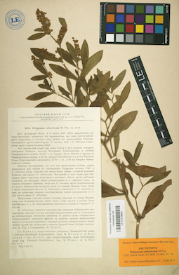LE 01019930
