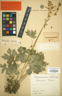 LE 01019938