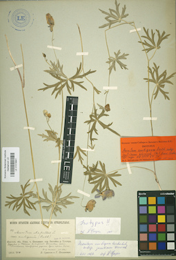 LE 01019941