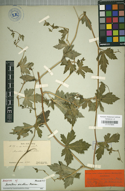 LE 01019945