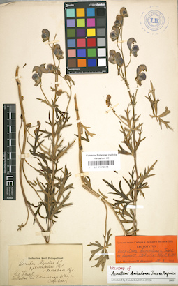 LE 01019948
