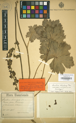 LE 01019955