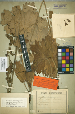 LE 01019956