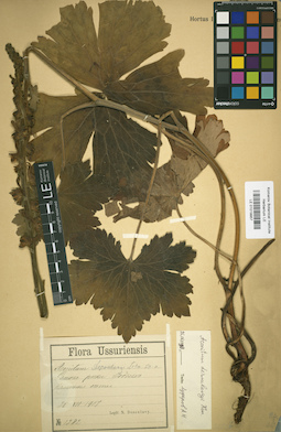 LE 01019957