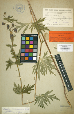 LE 01019965