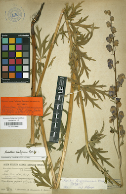 LE 01019966