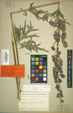 LE 01019967