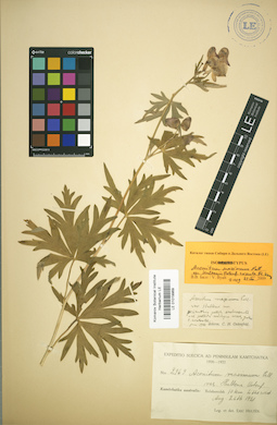 LE 01019969