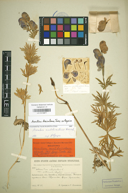 LE 01019971