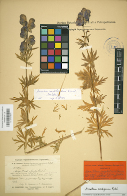 LE 01019974