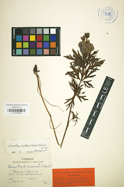 LE 01019976