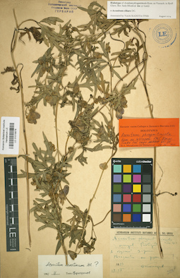 LE 01019978