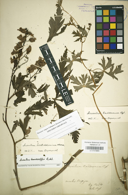 LE 01019984