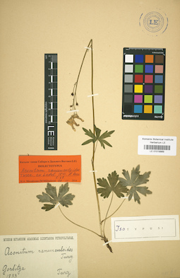 LE 01019989
