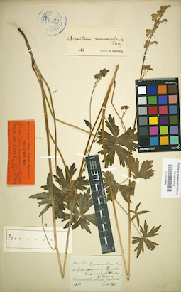 LE 01019990
