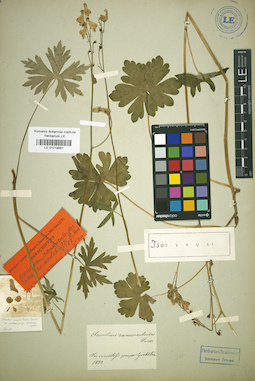 LE 01019991