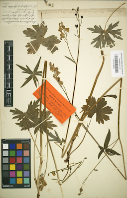 LE 01019992